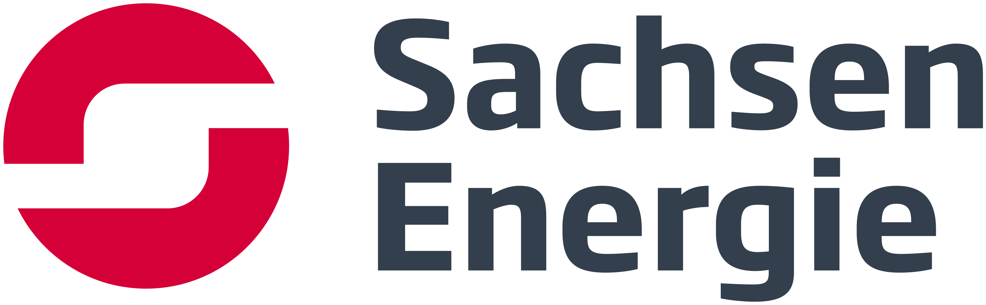 Logo Sachsen Energie